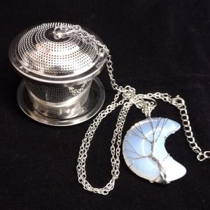 Tea Infuser w/ Moon necklace